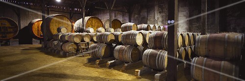 Cellar, Viña Valdivieso, one of the oldest wineries in Chile