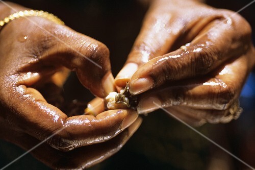 Yett (dried shellfish, Senegal) in two hands