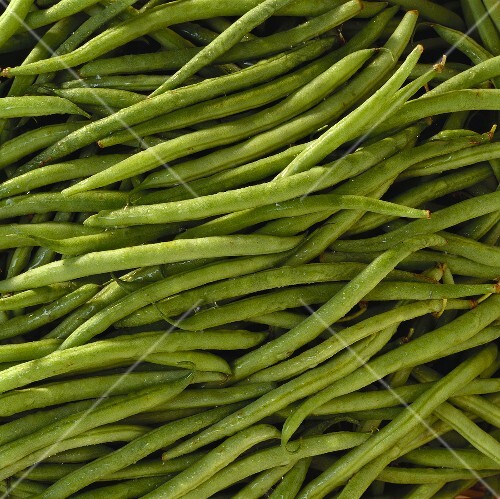 Haricots verts (type of green bean, filling the picture)