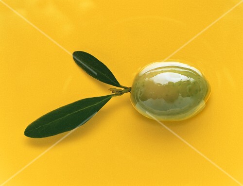 An olive with olive leaves on yellow background