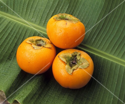 Three Sharon fruits on a palm leaf