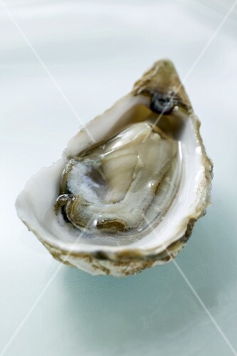 Fresh oyster