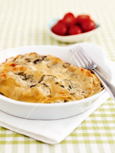 Lasagne with leeks and soft cheese