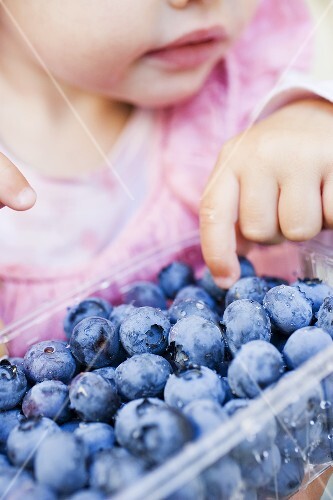 Child eating freshly washed blueberries