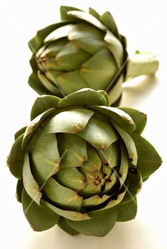 Two green artichokes