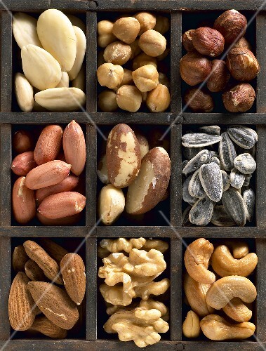 Various nuts and seeds in type case (overhead view)