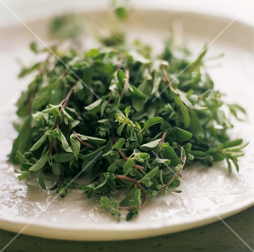 Fresh oregano