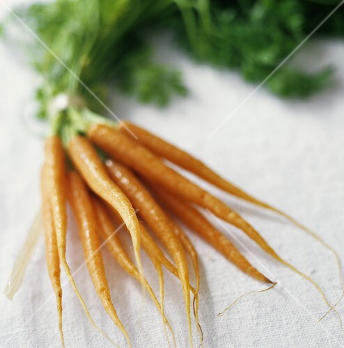 A bunch of carrots