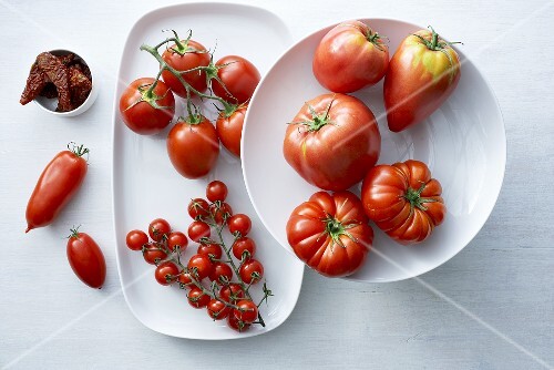 Still life with various types of tomatoes