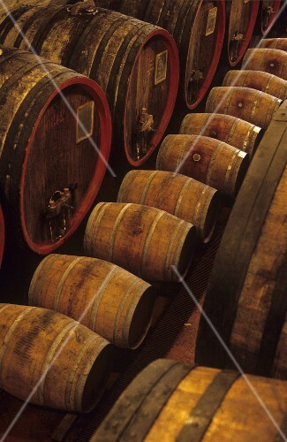 Renato Ratti's wine cellar, La Morra, Barolo, Piedmont