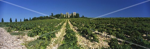 Château des Fines Roches, Châteauneuf-du-Pape, Rhône, France