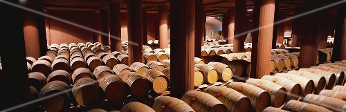 Fasskeller des Weinguts Trapiche, Mendoza, Argentinien