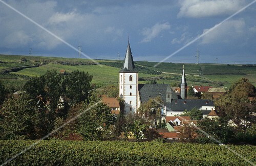 Westhofen, Rheinhessen, Germany