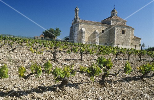 Monastery church, Hacienda Monasteria, Pesquera del Duero, Spain