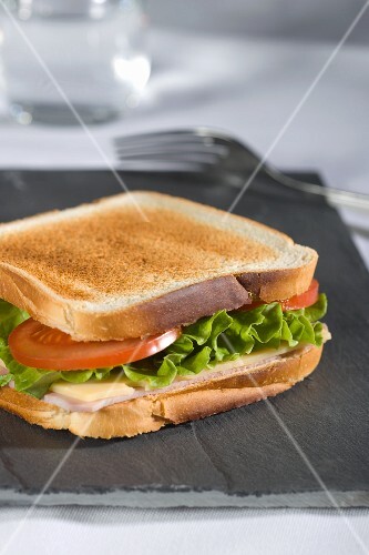 Toasted ham, cheese and tomato sandwich