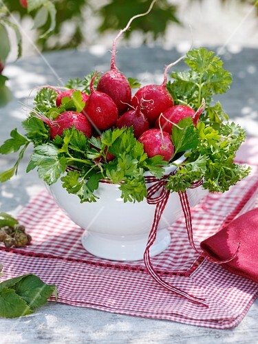 Radishes and parsley in soup bowl (table decoration)