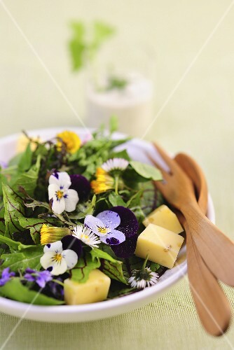 Spring salad with edible flowers and cheese