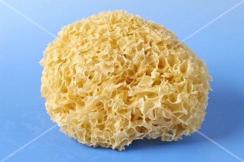 Dried white cloud ear fungus