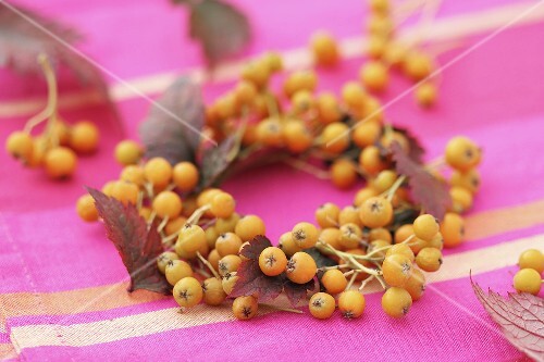 Small wreath of rowan berries with leaves