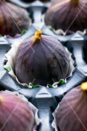 Fresh figs in paper cases in cardboard packaging