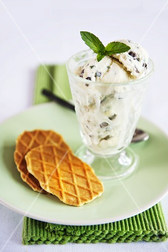 Mint ice cream with chocolate chips