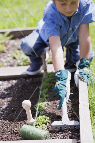 A little boy loosening the soil in a vegetable patch