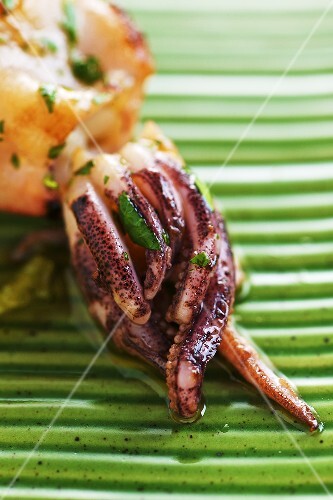 Gebratene Calamari (Close Up)