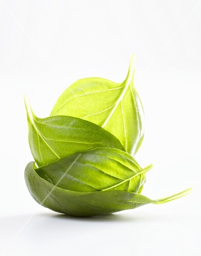 Four basil leaves