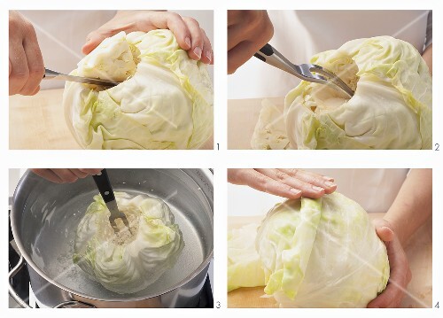 White cabbage being prepared for cabbage roulade
