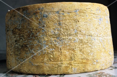 Gorgonzola