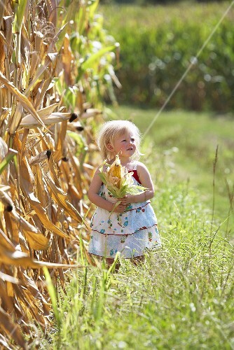 A blonde girl standing next to a corn field holding a corn cob