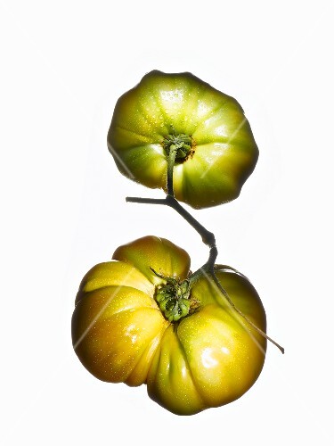 Two organic tomatoes (variety Pineapple Tomato)