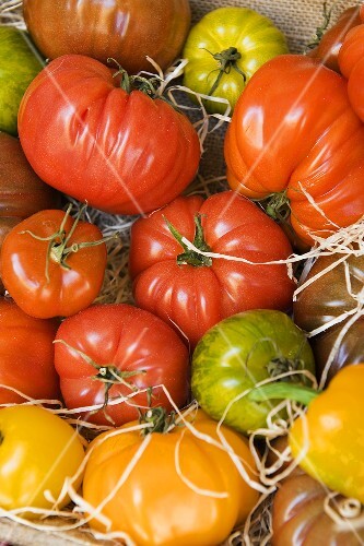 Various types of tomatoes in crate