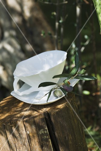 White soup cup with olive branch on tree stump