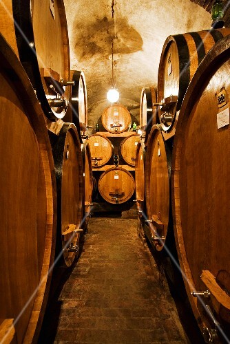Wine cellar, Montepulciano, Tuscany, Italy