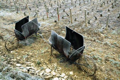 Old oil drums for heating the vines in winter (Burgundy)