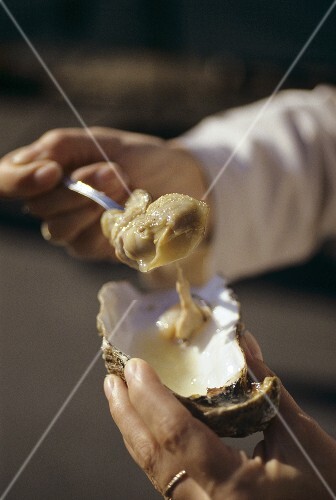 Eating a fresh oyster