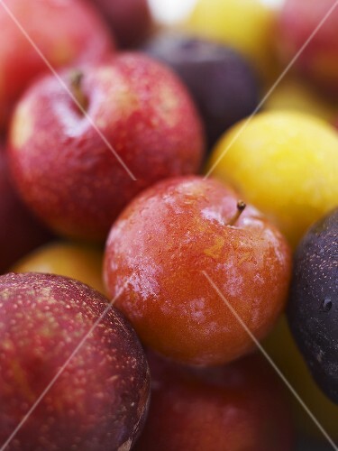 different types of plums buy images stockfood different types of plums buy images stockfood