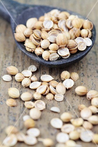 Coriander with a wooden spoon