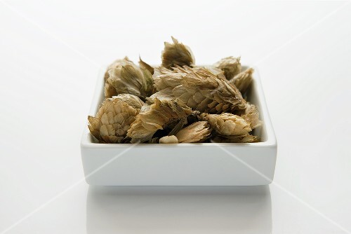 Dried hops needles (lupuli flos)