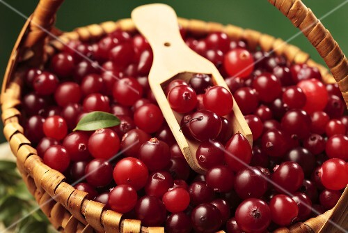 Preiselbeeren im Korb