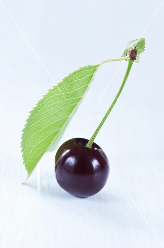 A cherry with leaf