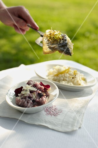 Amarone risotto (red wine risotto), lemon risotto and perch fillet (Italy)