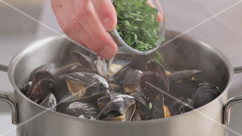 Mussels in a wine broth being prepared (German Voice Over)