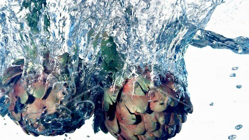Artichokes falling into water