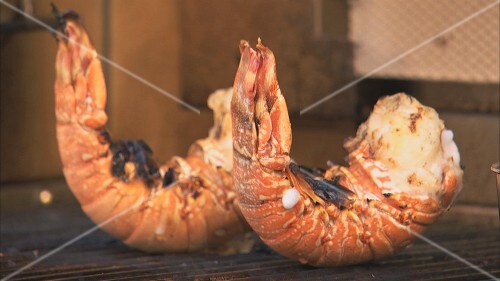 Grilled lobster tails