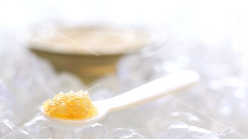 Spoonful of pike caviar on ice, tin of caviar behind