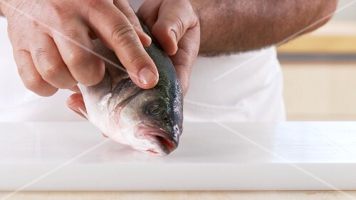 Die Merkmale eines frischen Fisches