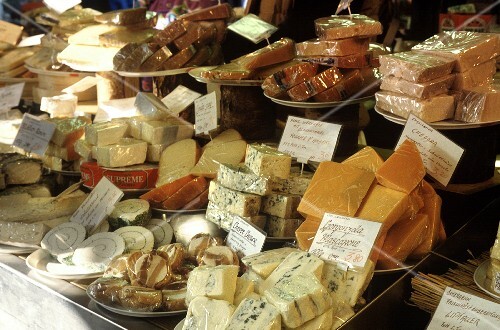 Various types of cheese at the market (5)