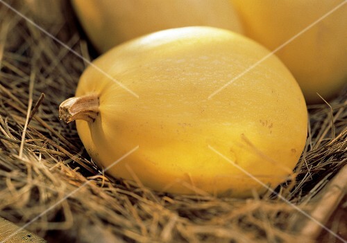 A Whole Spaghetti Squash on Hay